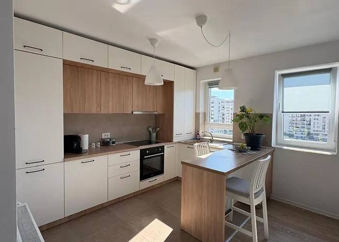 High Hopes Kasper Brassó