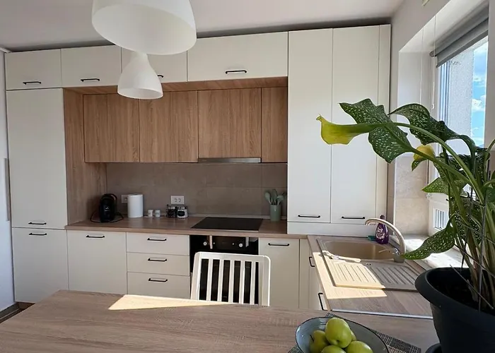 Apartment High Hopes Kasper Brasov